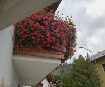 Haus Georg