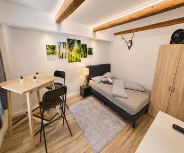 City Center Old Town Studio