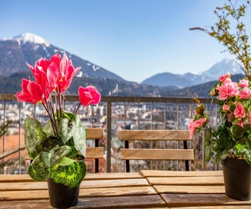 Hilltop Innsbruck Apartment I Free Parking