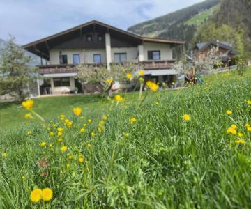 Apart Bergblick