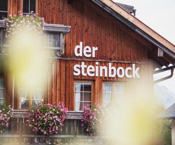 Chalet Hildegard - Der Steinbock