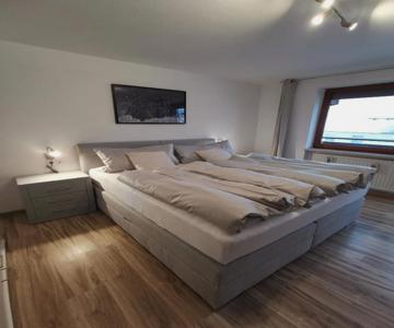 Appartment Fuzzy