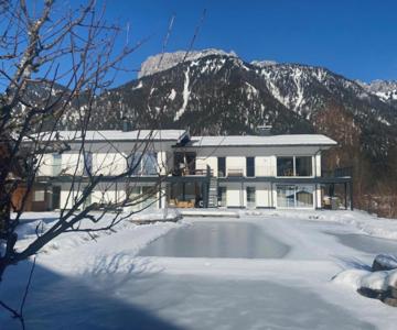 Apartment Steinplatte