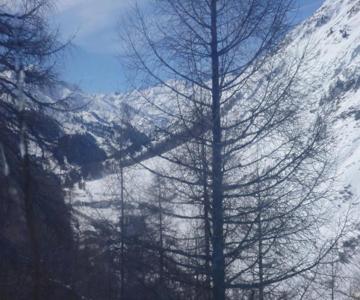Pension Kupfer