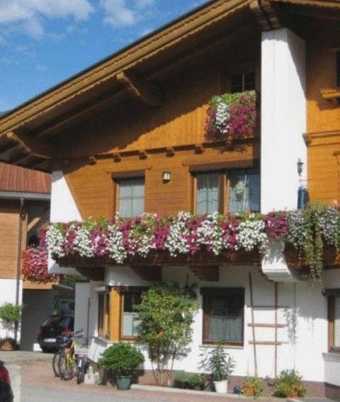 Arenablick