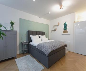New Luxus Studio - 10min Centre - Markus apartment