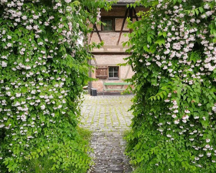 Hostel Feldkirch