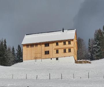 Haus Lang