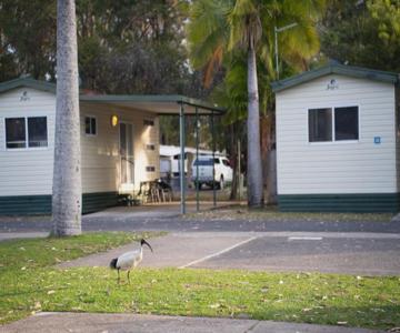 Reflections Coffs Harbour - Holiday Park