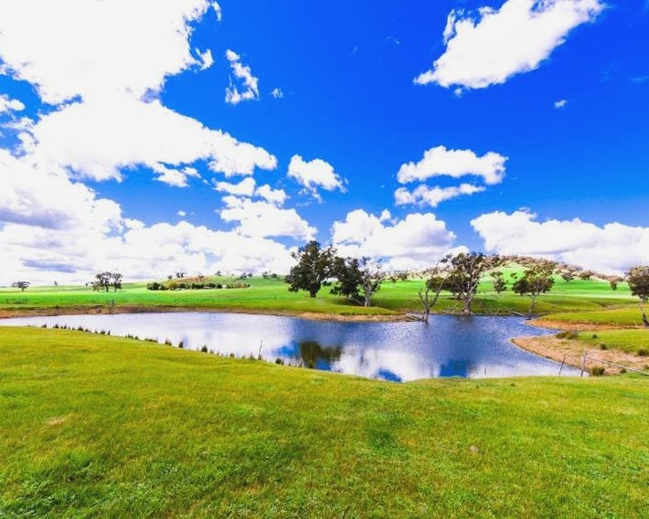 Hillview Farmstay