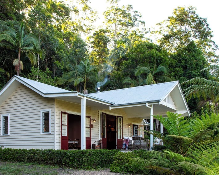 Nightcap Ridge - Byron Bay Hinterland