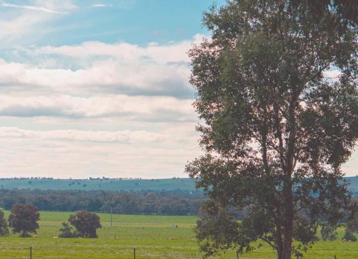 Wagga Wagga Tourist Park
