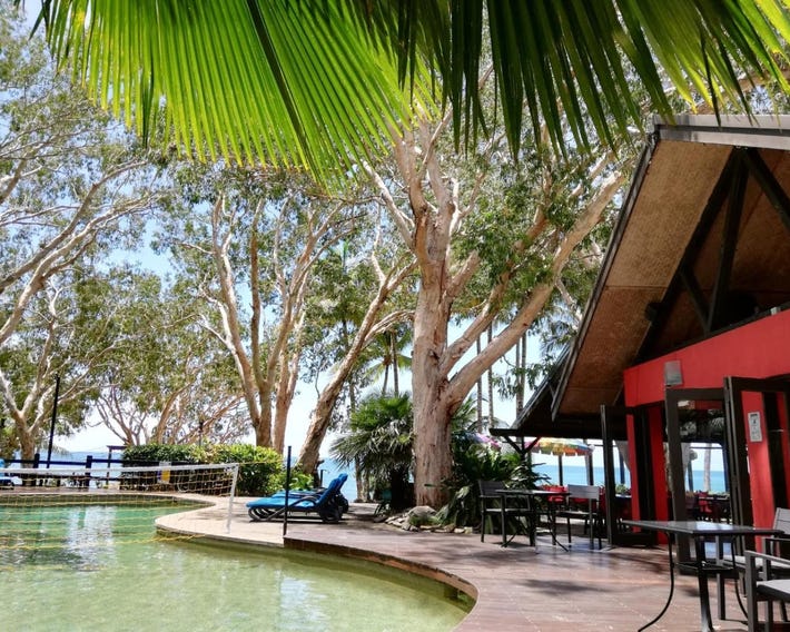 Turtle Cove Beach Resort - Adults Only LGBTQIA & Allies