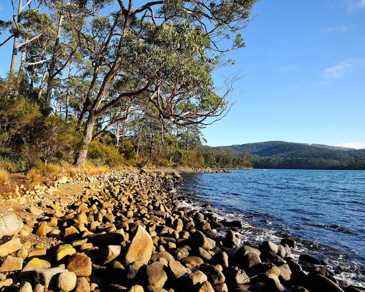 NRMA Port Arthur Holiday Park