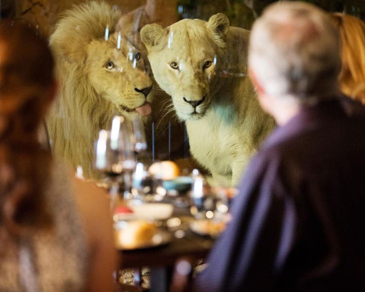 Jamala Wildlife Lodge