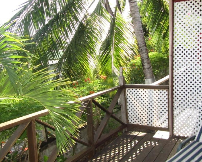 Dolphin Inn Guesthouse & Apartments
