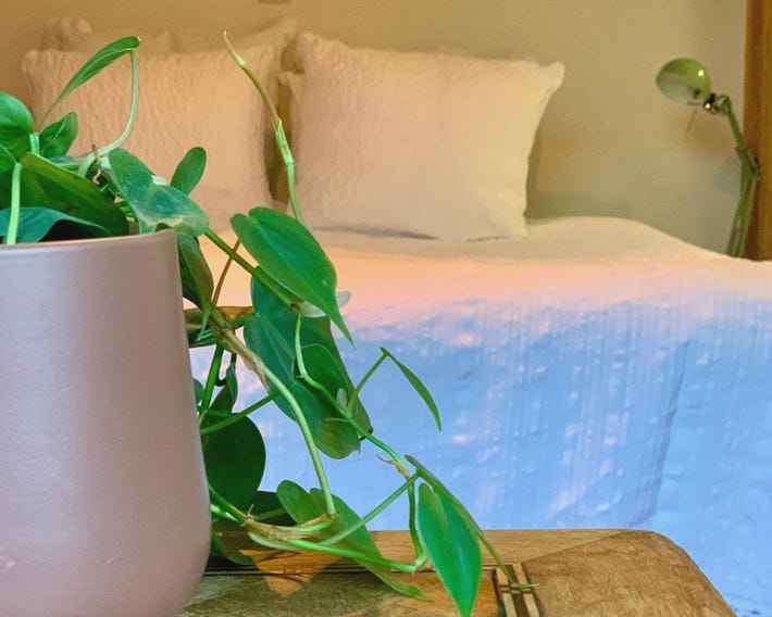 Vakantiewoning Guesthouse MOMO