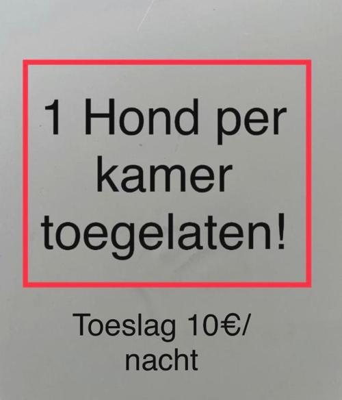 B&B De Notelaar
