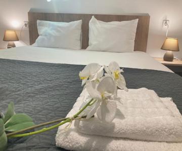 Megdana Guest House