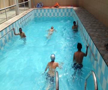 Wolf Hostel