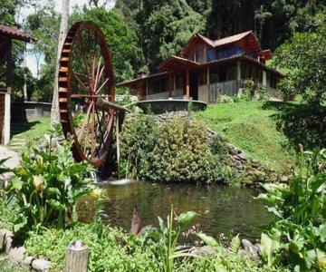 Chale Truta Da Floresta