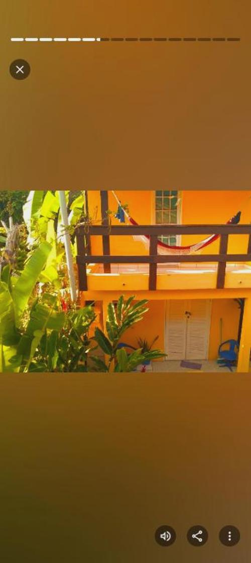 Swell Surf Home