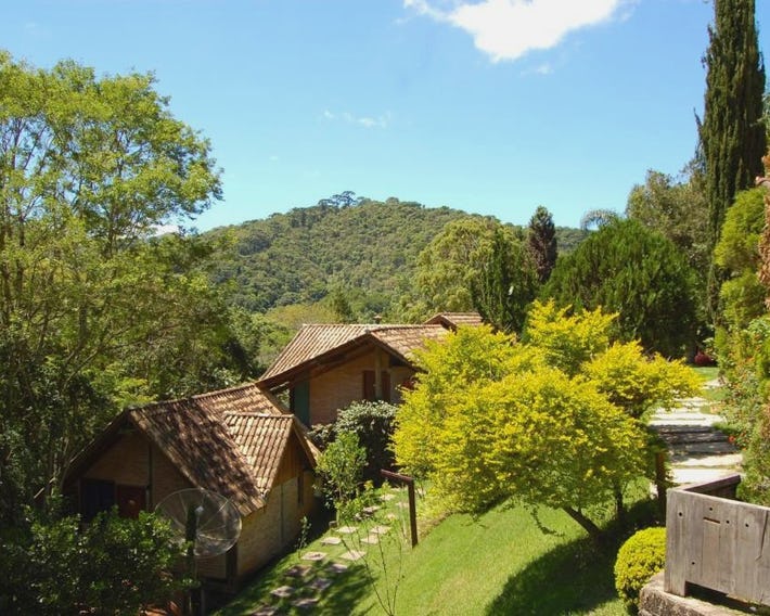 Pássaro de Fogo