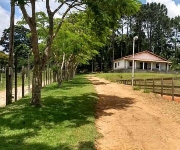 Centro Equestre Camila Sais