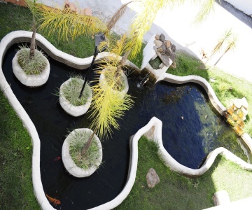 Hotel Caiman