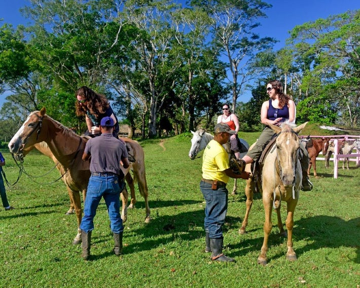 Banana Bank Lodge & Jungle Horseback Adventures