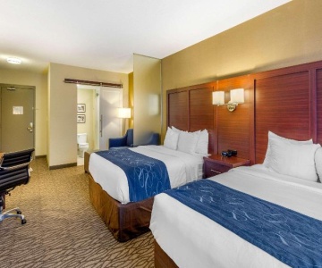 Comfort Suites Downtown