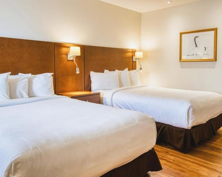 Motel Mistral