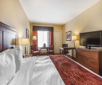 Comfort Hotel St. John's