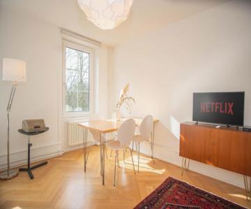 Spacious apartment next to park with free BaselCard