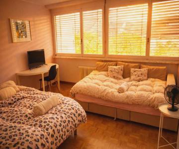 Cozy Flat in the Center of Kleinbasel