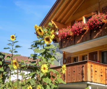 Chalet uf em Stutz 1