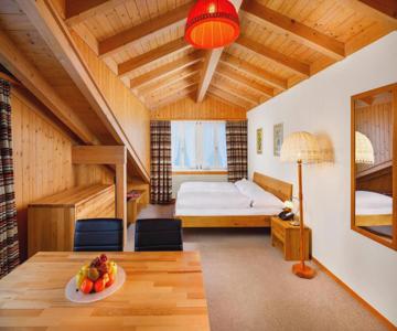Chalet Altenhaus