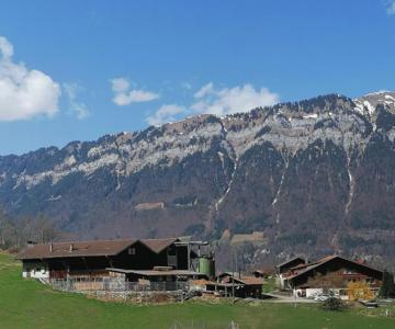 Brunners harzerhof