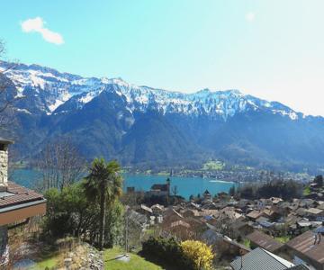 Viewpoint