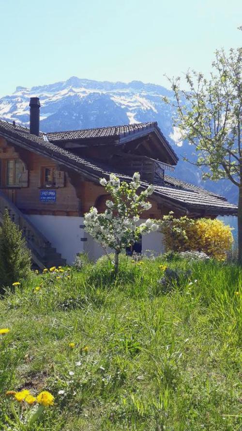 Chalet Diana Lakefront
