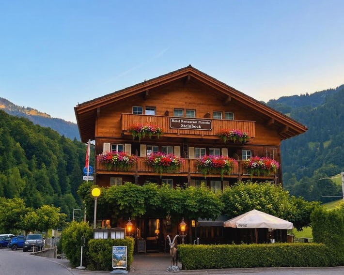 Hotel Steinbock