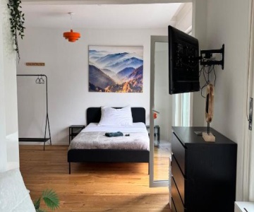 Zentrales Apartment St Gallen An Der Olma