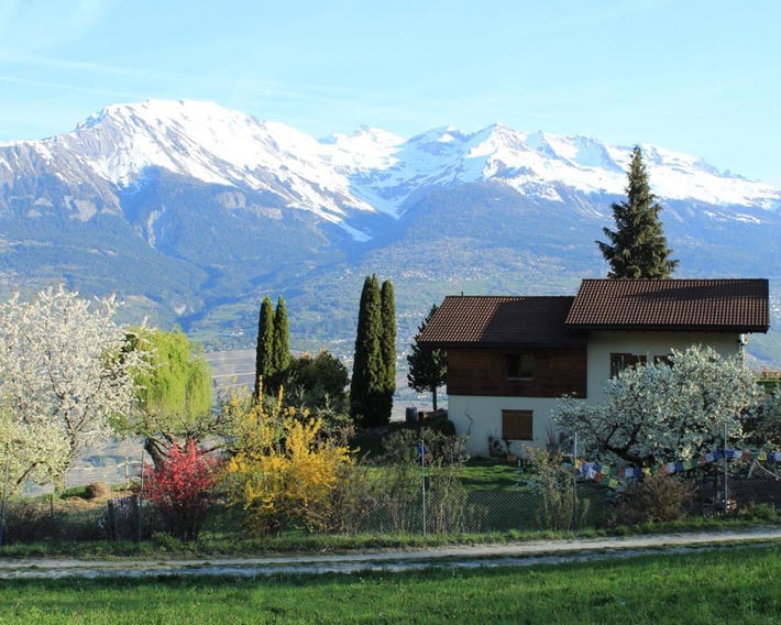 Domaine Bellevie BnB