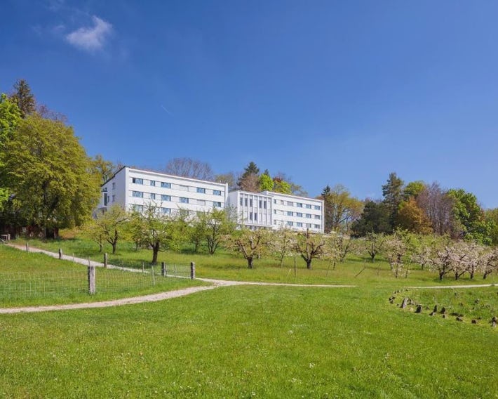 Le Domaine (Swiss Lodge)