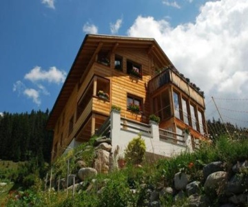 Chalet Sunnäschyn