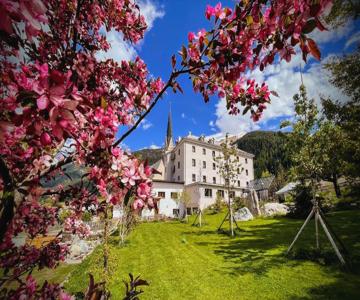 B&B Hotel Stelvio