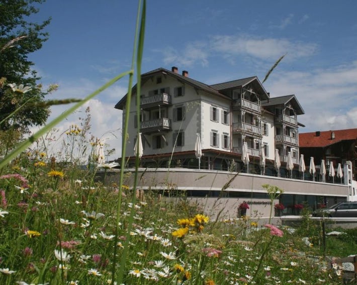 The Alpina Mountain Resort
