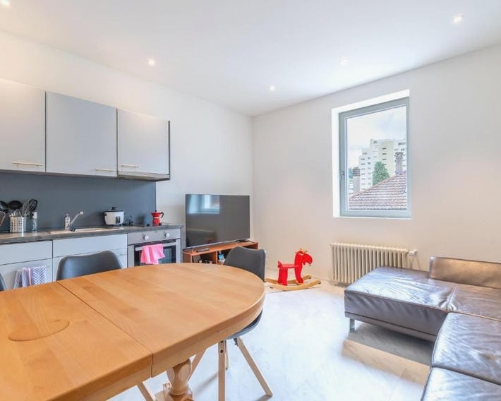 Mount Pilatus view Apartment Lucerne with free parking & WIFI