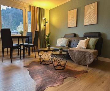 Zentrales 2,5-zimmer Apartment Mit Mega Bergblick