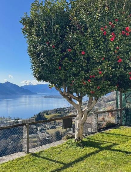 Casa Reto - Das Ferienhaus im Tessin